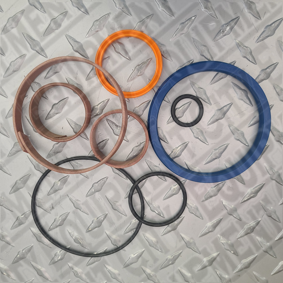 20-2489-2 RX BMW Lift Rack Seal Kit for 140-87-2 Cylinder V3
